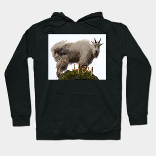 Hey Goat How Goes It? Hoodie